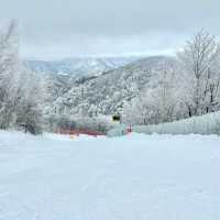 札幌國際滑雪場：豐富滑雪體驗