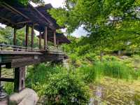 日本京都-能拍到京都塔小橋湖水倒影：涉成園