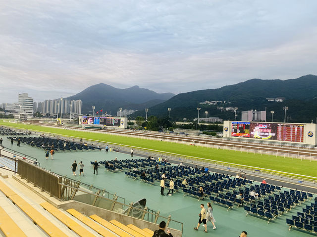 Must watch Horse Racing in Hong Kong 🇭🇰 🐎‼️
