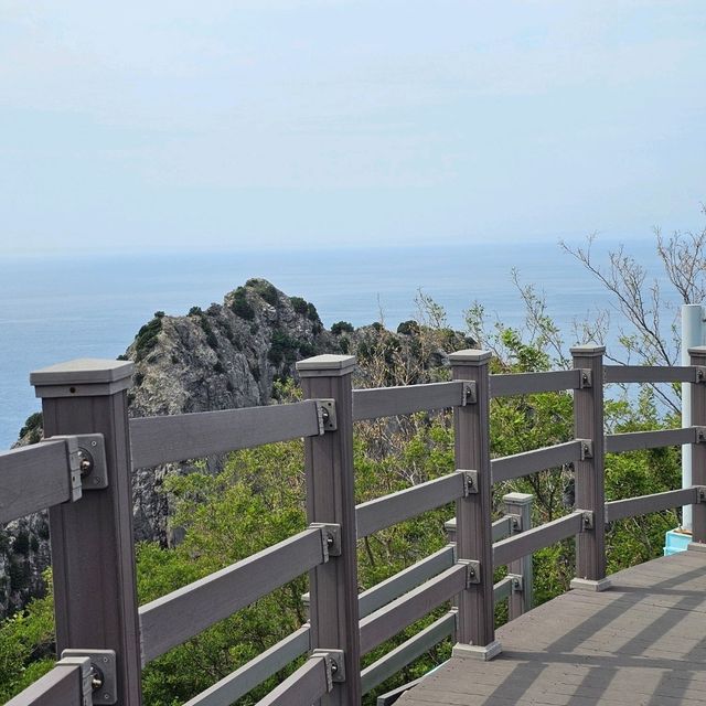 신비의 섬, 울릉도🏝 가는법