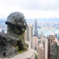 Sky Terrace 428