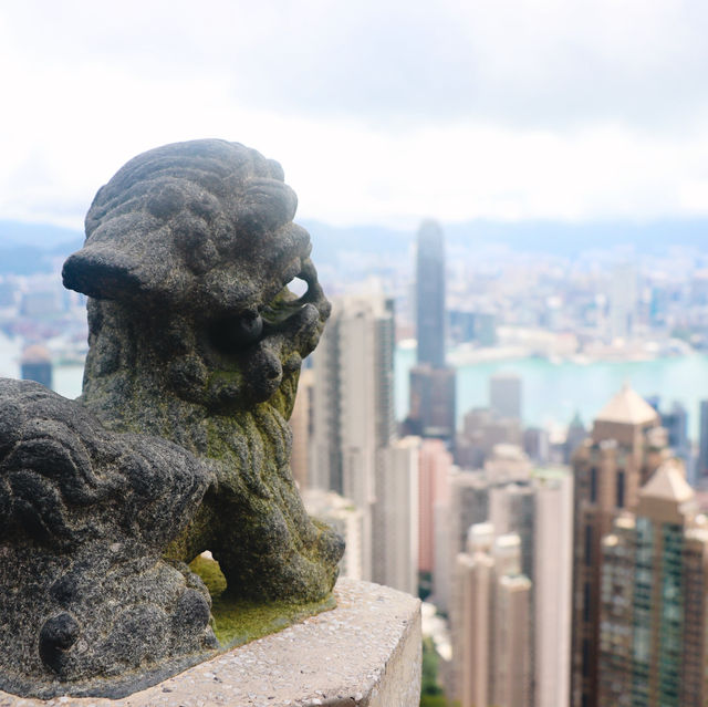 Sky Terrace 428