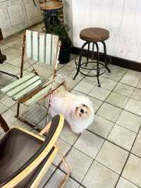 【釜山カフェ】田浦カフェ通りのフレトー専門店🐶
