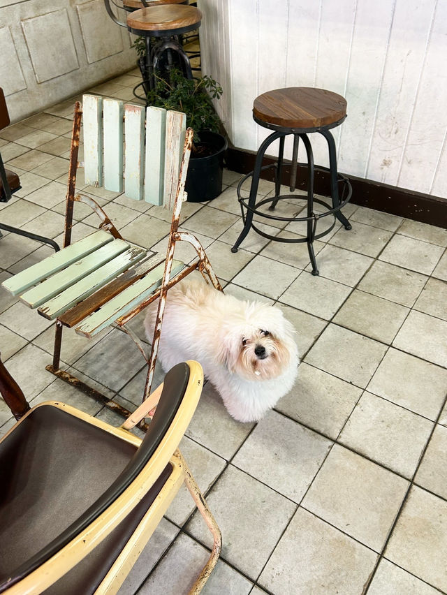 【釜山カフェ】田浦カフェ通りのフレトー専門店🐶
