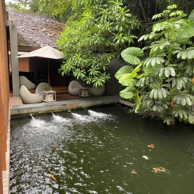 เหมือนหลุดมาอยู่อีกเมืองเลย Renaissance Phuket
