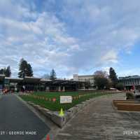 探索新西兰🇳🇿怀卡托大学校园活动