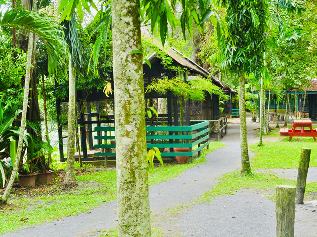 Miri Crocodile Farm offers a fascinating blend of adventure and conservation🇲🇾