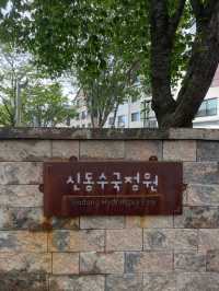 수원에서 여름을 만끽할땐 수국 만개하는 신동수변공원