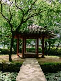 경남 사진찍기 좋은 여행지, 고성 장산숲🌳