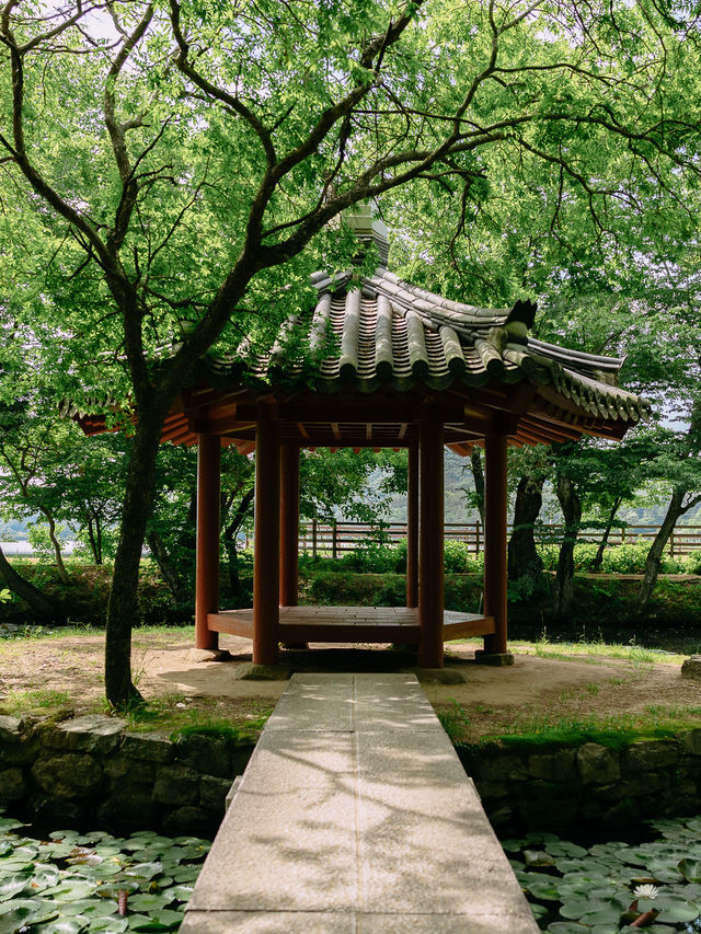 경남 사진찍기 좋은 여행지, 고성 장산숲🌳