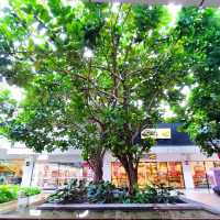 Shopping in a Serene Garden Setting