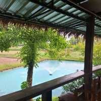 ฮา-ตะ-เกะ คาเฟ่