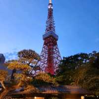 東京5日4夜