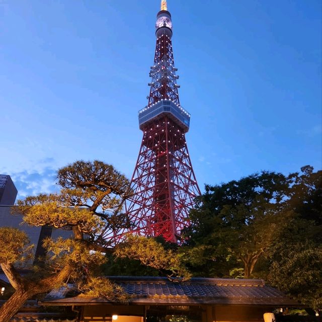 東京5日4夜