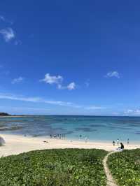 奄美大島　定番観光スポット土盛海岸🌊