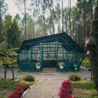 TANGKAL PINUS | NEW CAMPING GROUND AT LEMBANG