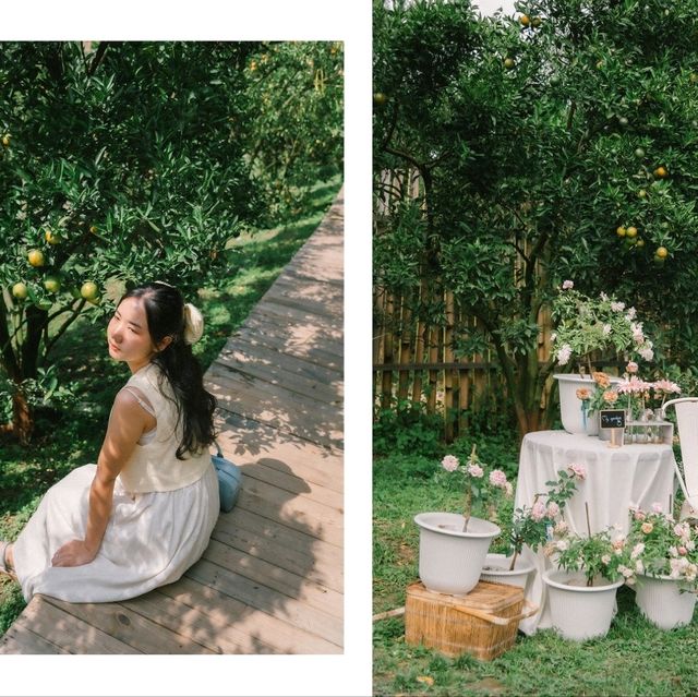 สวนของฉัน My garden 