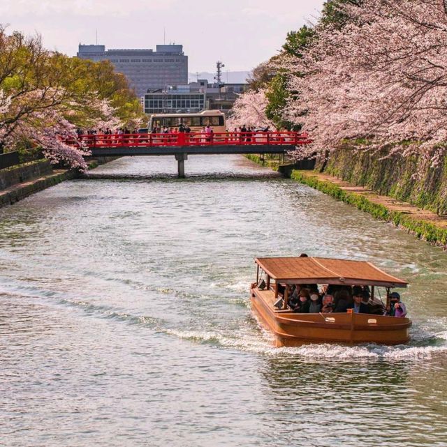 Explore Kyoto City Streets 🚶‍♂️✨