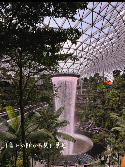 世界最大の室内滝！！JEWEL！空港直結の無料で見れる絶景スポット