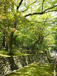 風鈴の映えスポットだらけ・・『法多山 尊永寺』