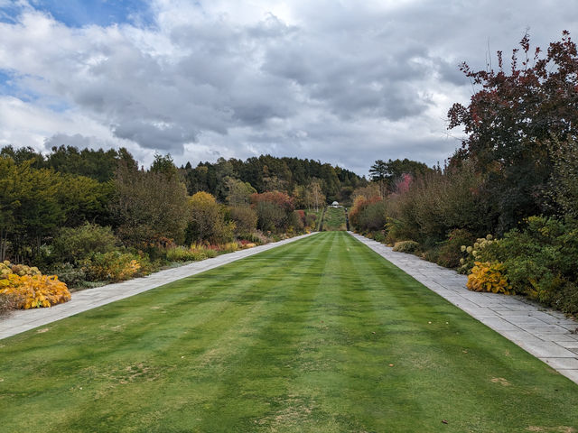 日本北海道-上萬株由綠轉紅的可愛波波草：由仁花園 Yuni Garden