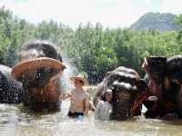 Bathing Elephants at Ao Nang, Krabi