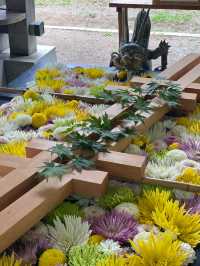 【帯広】花手水で大人気の帯廣神社
