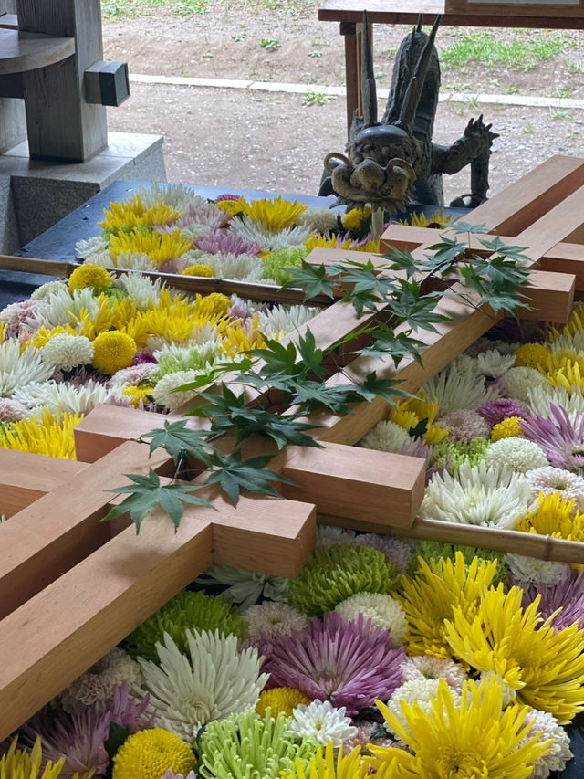 【帯広】花手水で大人気の帯廣神社