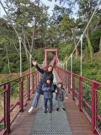 Dongbaek Island Busan