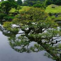福岡三寶院：歷史古蹟，禪意氛圍，感受大自然恬靜與祥和