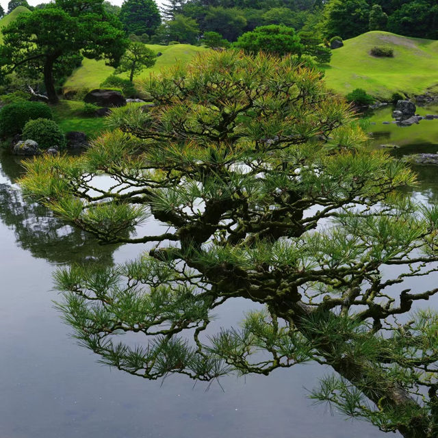 福岡三寶院：歷史古蹟，禪意氛圍，感受大自然恬靜與祥和