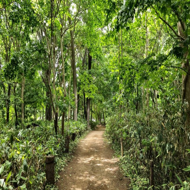 일본여행 홋카이도대학 식물원 北海道大学 植物園