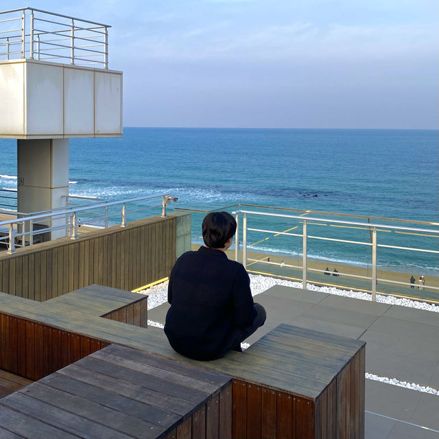 환상적인 오션뷰와 맛있는 디저트가 있는 안목카페, 에이엠 브레드 앤 커피🌊