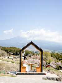 📍まかいの牧場