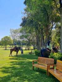 แลนด์มาร์คเขาใหญ่ Rancho Charnvee