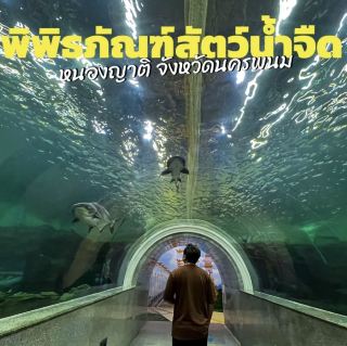 นครพนม水族館 