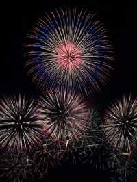 オススメ😊🎇湖畔でゆっくり観れる大津志賀花火大会🎆