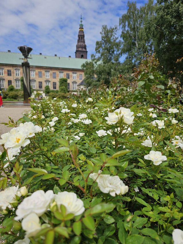 Royal Danish Library Park In Copenhagen, Denmark.