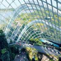 Singapore 🇸🇬 Most beautiful indoor garden 