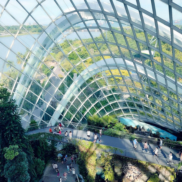 Singapore 🇸🇬 Most beautiful indoor garden 