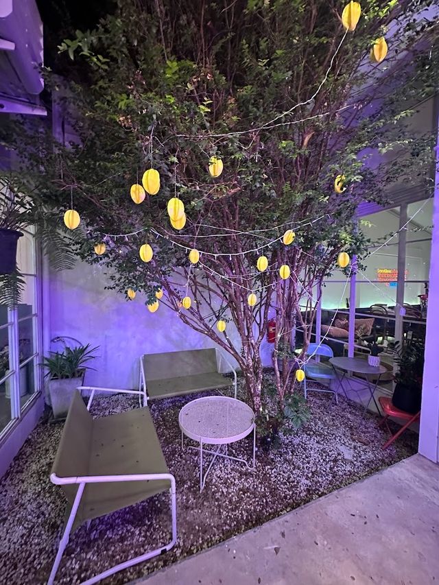  📍🌿 Concept Chan Café 