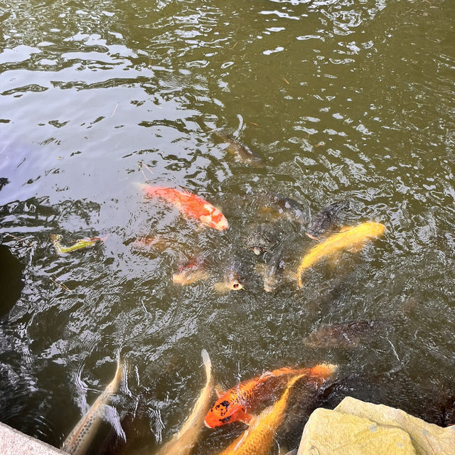 香川・丸亀『中津万象園・丸亀美術館』✨