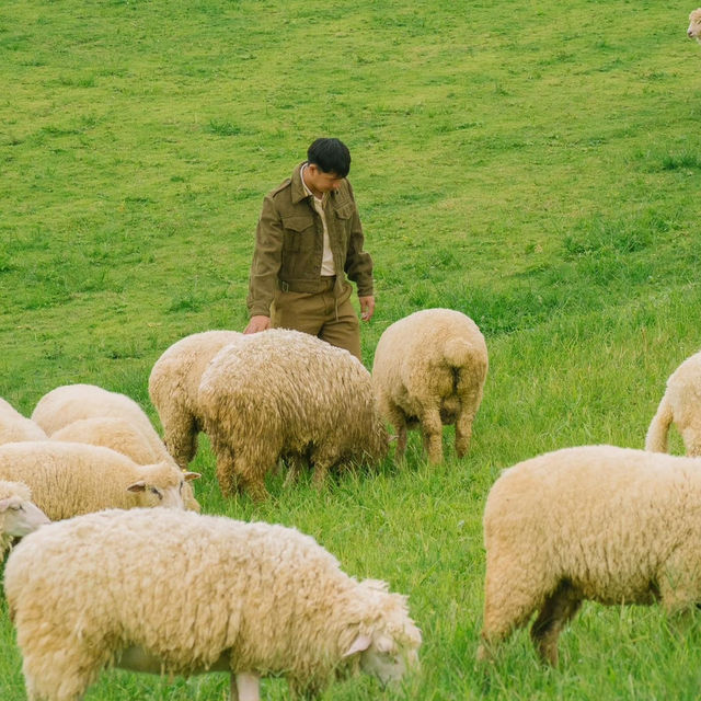 น่ารักเกินต้าน! Akha Farmville  🐑🌳