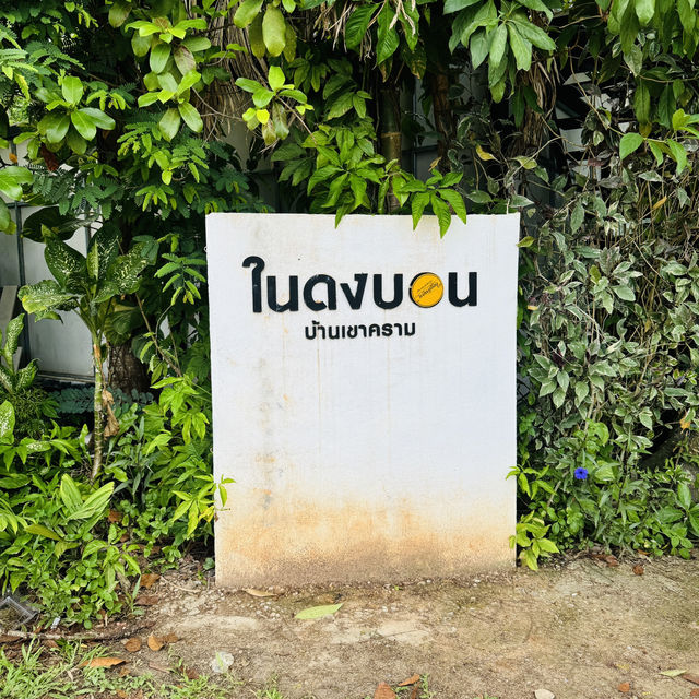 ใน ดง บอน