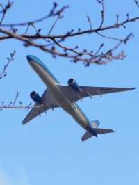 【千葉(成田)】何度でもいける！飛行機好き必見！飛行機が間近でみられる！