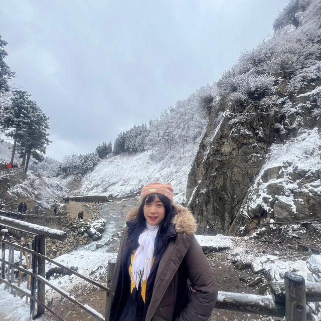 Jigokudani (Snow) Monkey Park ดูน้องลิงแช่ออนเซ็น🐵