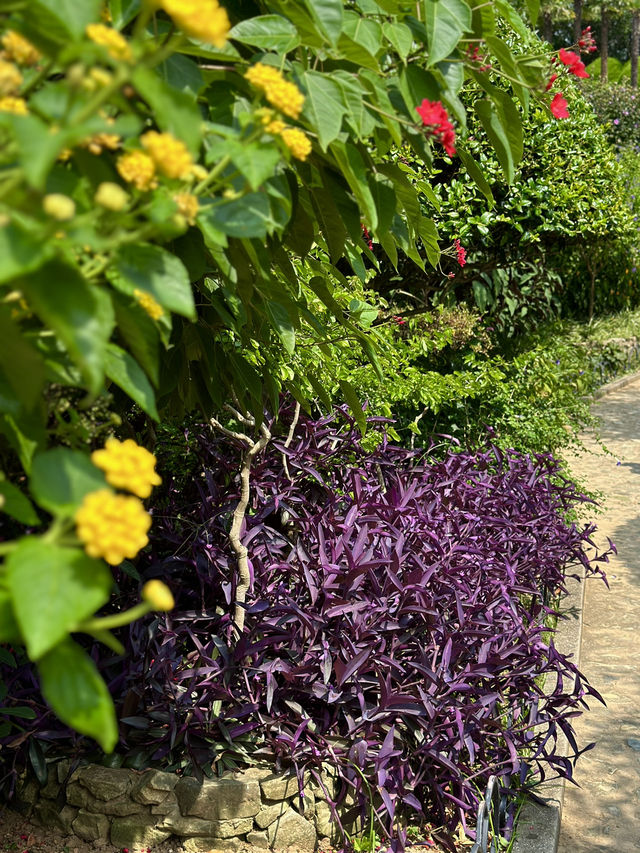 A hidden botanical garden on a private island 🌺