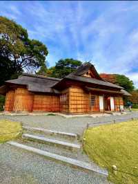 〜東京都〜オフィス街のど真ん中にある異世界公園！