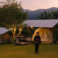 ‘ Campiness Camping & Farmsook  ’ 🏕️🪵