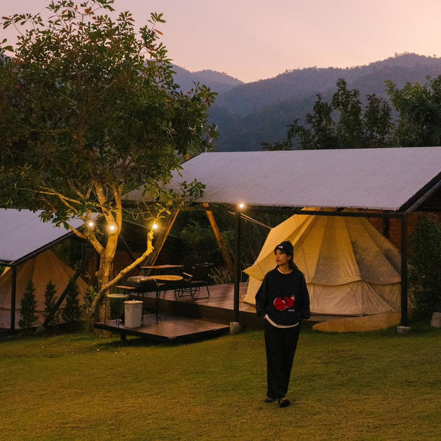 ‘ Campiness Camping & Farmsook  ’ 🏕️🪵